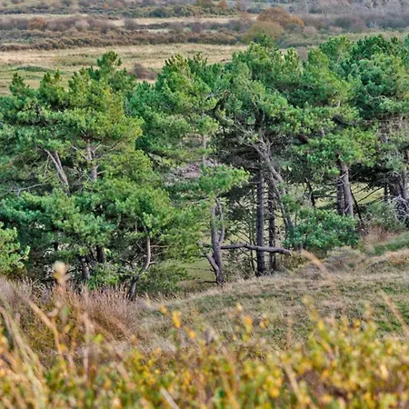 Prinsenhof # Vijfentwintig Lejlighed *