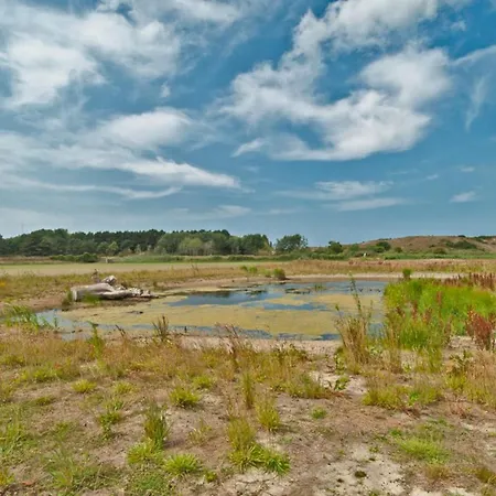 Prinsenhof # Vijfentwintig * Bergen