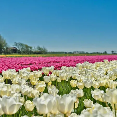 Lejlighed Prinsenhof # Vijfentwintig *