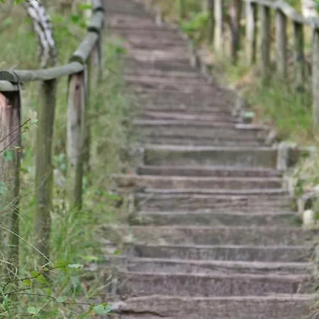 Prinsenhof # Vijfentwintig * Bergen